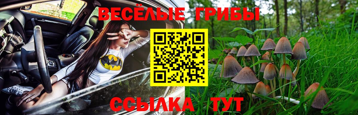 Псилоцибиновые грибы Psilocybine cubensis  хочу наркоту  Обнинск  Вход с VPN 