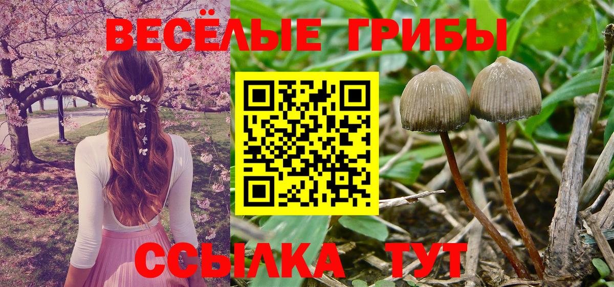 Псилоцибиновые грибы мухоморы Обнинск